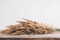 Bouquet of field dried grass on a wooden background. Rustic vintage hipster style. Place for text or advertising Royalty Free Stock Photo