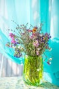 A bouquet of field dry flowers in a vase Royalty Free Stock Photo