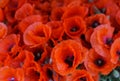 A bouquet of field poppies on a table in a vase