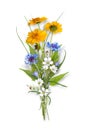 bouquet of the field wild flowers Royalty Free Stock Photo