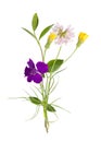 Bouquet of the field wild flowers, easter colors, isolated