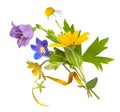 Bouquet of the field wild flowers, easter colors, isolated Royalty Free Stock Photo