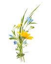 Bouquet of the field wild flowers, easter colors, isolated Royalty Free Stock Photo