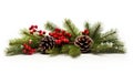 a bouquet of fir branches in a realistic depiction, intricate details of pine needles on a clean white background.