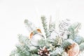 bouquet of fir branches reinforced Royalty Free Stock Photo