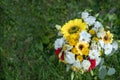 bouquet for first beloved teacher on first of September. Flowers for the last bell. day of knowledge. beginning of the school year Royalty Free Stock Photo