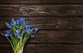 A bouquet of the first spring flowers of blue snowdrops on a dark wooden surface with copy space. Greeting card concept for Royalty Free Stock Photo