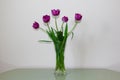 Bouquet of five lilac tulips in a glass vase on the table. Spring and holiday concept, greeting card or flower shop web banner. Royalty Free Stock Photo