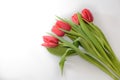 Bouquet of five red tulips on a white background with leaves, bottom view