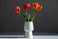 Bouquet of five tulips in a white vase on a gray