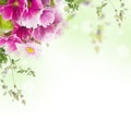 Bouquet, floral background