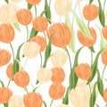 Bouquet floral seamless pattern with orange random tulip flowers silhouettes. White background. Isolated print