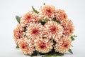 Bouquet flower of beautiful fashionable pink dahlia isolated on white background. Botanical concept, flora idea Royalty Free Stock Photo