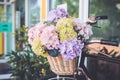 Bouquet of flower in bucket on front of vintage bicycle. Garden Royalty Free Stock Photo