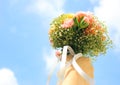 Bouquet of flower in hand and sky Royalty Free Stock Photo