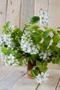 A bouquet of flowering branches of fruit trees Royalty Free Stock Photo