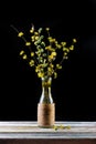 Bouquet of flowering branches of willow and dogwood in a vase on the table on a black Royalty Free Stock Photo