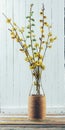 Bouquet of flowering branches of willow and dogwood in a vase on the table
