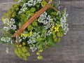 Bouquet of flowering herbs in a basket on a wooden background, top view. Coriander with white flowers, lovage with yellow flowers