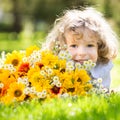 Bouquet of flowers Royalty Free Stock Photo