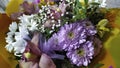 Bouquet of flowers as a gift. Floral background. Purple, white and blue flowers close-up. Chamomile, aster, iris Royalty Free Stock Photo