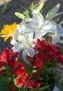 Bouquet of flowers. an attractively arranged bunch of flowers, especially one presented as a gift or carried at a ceremony. nose