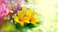 Bouquet of flowers, beautiful flower - floral arrangement Royalty Free Stock Photo
