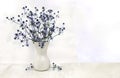 Bouquet flowers blue eryngo  Eryngium planum, flat sea holly  in porcelain white vase on a white table with space for text. Royalty Free Stock Photo