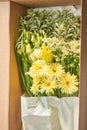 Bouquet 010, Flowers bunch, set for home. Flowers bunch, set for home. Fresh cut flowers for decoration home. European Royalty Free Stock Photo