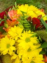 Bouquet of flowers, close-up composition of a bouquet of flowers, red roses, sunflowers, green leaves Royalty Free Stock Photo