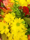 Bouquet of flowers, close-up composition of a bouquet of flowers, red roses, sunflowers, green leaves Royalty Free Stock Photo