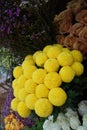 Bouquet of Flowers craspedia. Bright yellow balls in a florist shop. IUH
