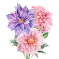 Bouquet of flowers dahlia, clematis, watercolor botanical illustration