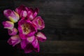 A bouquet of flowers on a dark wooden background. Magenta tulips in a vase. Place for your text. Top view