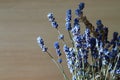 Bouquet of flowers. Fragrant beautiful blue lavender flowers blooming Royalty Free Stock Photo