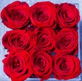 Bouquet of flowers, fresh red rose. Collage of red roses. Bouquet of fresh roses, flower bright background. Close up