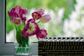 A bouquet of flowers on a green light background. Magenta tulips in a vase. Place for your text. View from the window