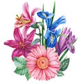Bouquet flowers iris, gerbera, lily. Watercolor botanical illustration, flora design