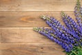 bouquet of flowers lupine on brown wooden table