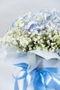 Bouquet of flowers made of hydrangeas and gypsophila Royalty Free Stock Photo