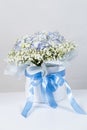 Bouquet of flowers made of hydrangeas and gypsophila in a white box with a bow on a white background. Royalty Free Stock Photo