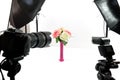 Bouquet of flowers in a photo studio