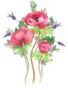 Bouquet of flowers: pink anemones, clematis and eucalyptus, watercolor painting