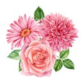 bouquet of flowers, pink dahlia, roes, gerbera isolated white background, watercolor illustration Royalty Free Stock Photo