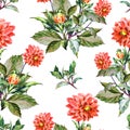 Bouquet flowers, red dahlia, watercolor, pattern seamless Royalty Free Stock Photo