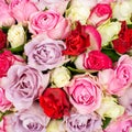 Bouquet of flowers from red and pink roses Royalty Free Stock Photo