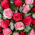 Bouquet of flowers from red and pink roses Royalty Free Stock Photo