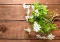 Bouquet of flowers snowdrop Anemone