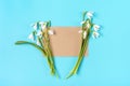 bouquet of flowers of snowdrops and craft paper for notes on blue background Flat lay Top view Holiday card Hello Spring concept Royalty Free Stock Photo