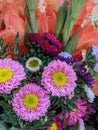 Bouquet of flowers for special\'s day. A mixture of fresh cut flowers. Close-up of a set of varied and colorful flowers